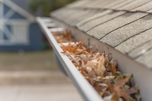 Leaf Barrier Installation in New Albany